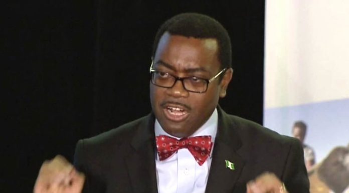 We 'll support AfDB’s $10bn power initiative in Nigeria, says UN