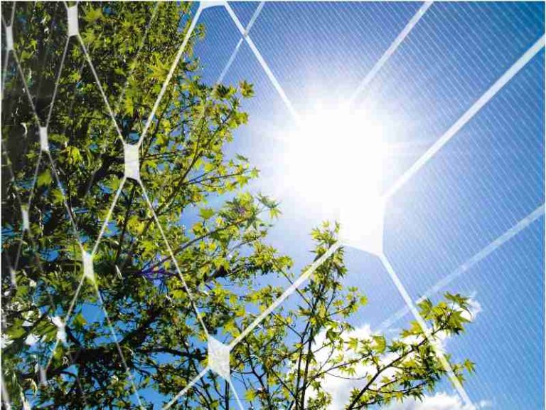 Climate change: Is Nigeria’s net-zero pledge credible?