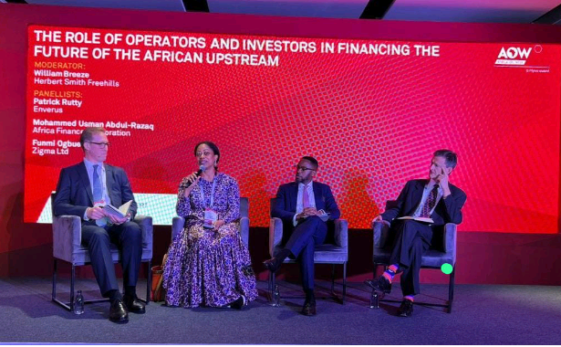 Africa should target symbiotic investors with upstream-focused business model to revive Industry —Ogbue