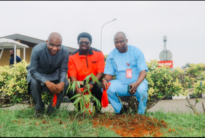 Egbin Power commemorates Tree Planting Day to deepen environmental sustainability