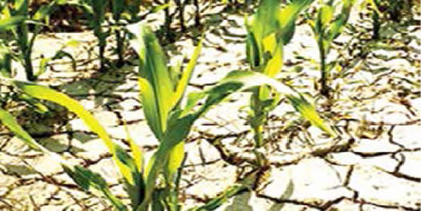 Climate action vital to global security