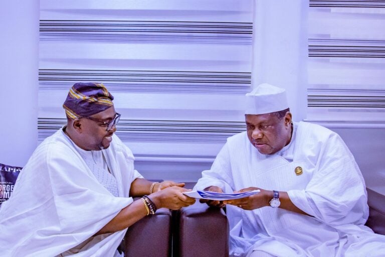 Bayo Adelabu resigns as power minister