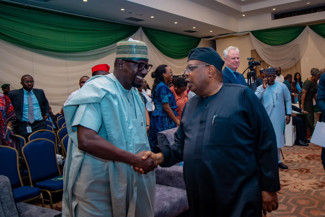 Tegbe: Rural electrification must power enterprise, prosperity, economic growth