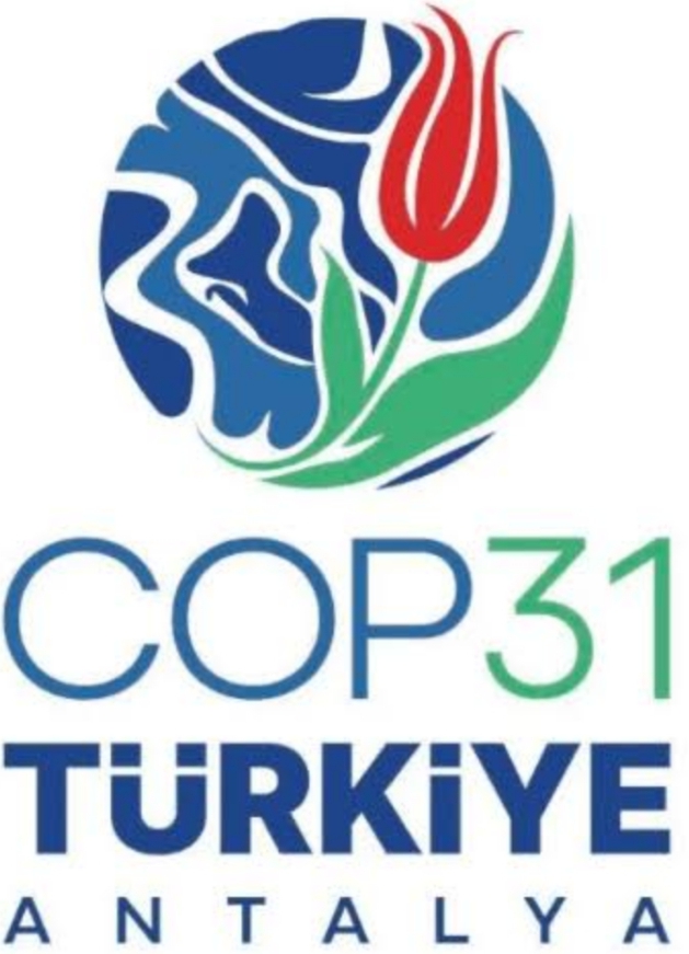COP31: Why Nations must move from climate promises to action